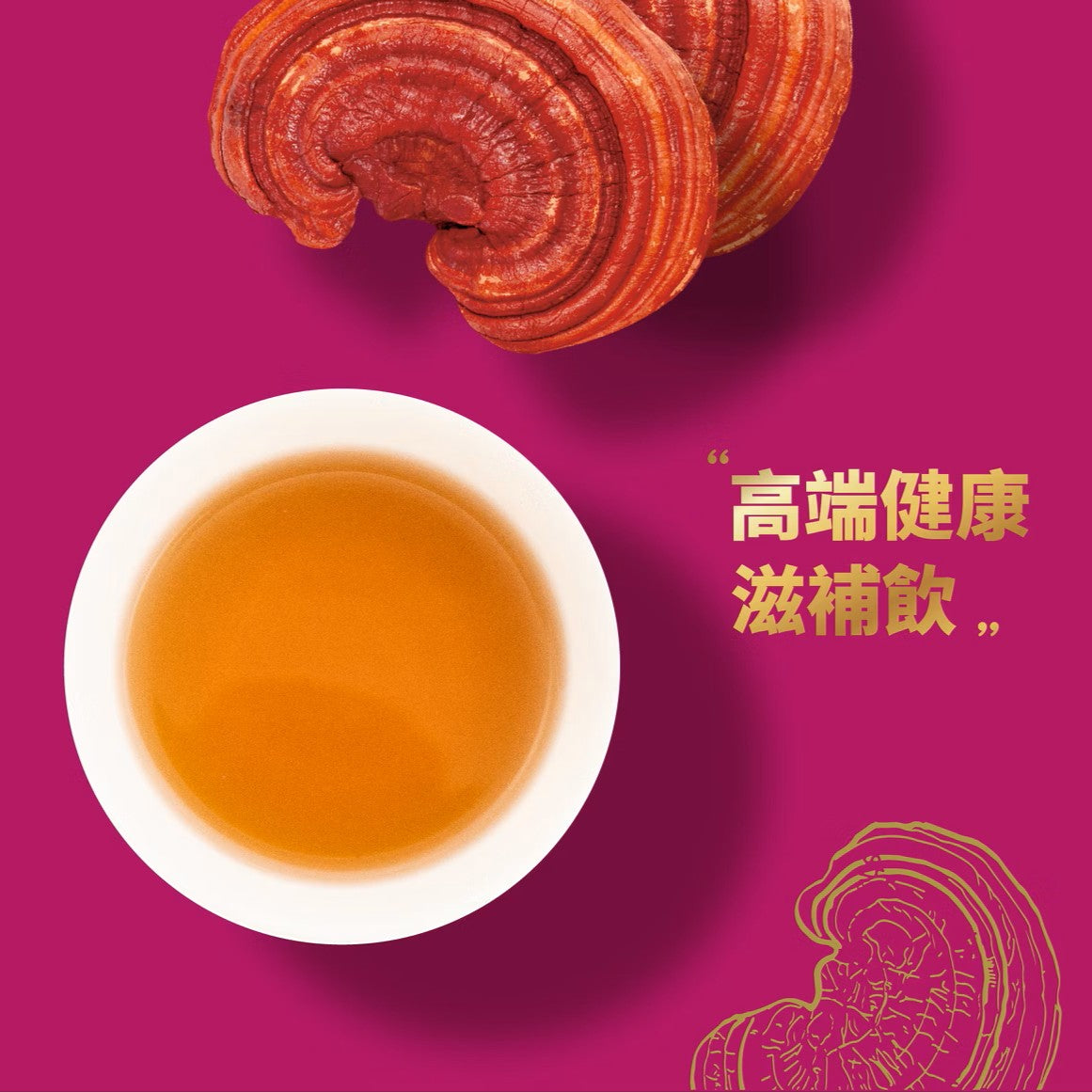安永鱸魚精-靈芝御品 12入禮盒