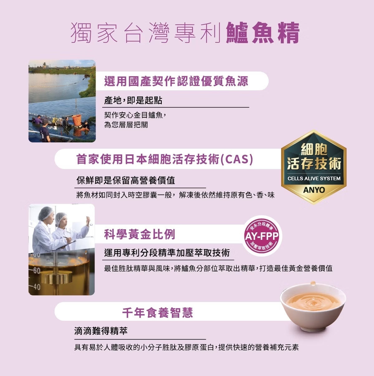 安永鮮物-靈芝魚萃膠囊(20包/盒)
