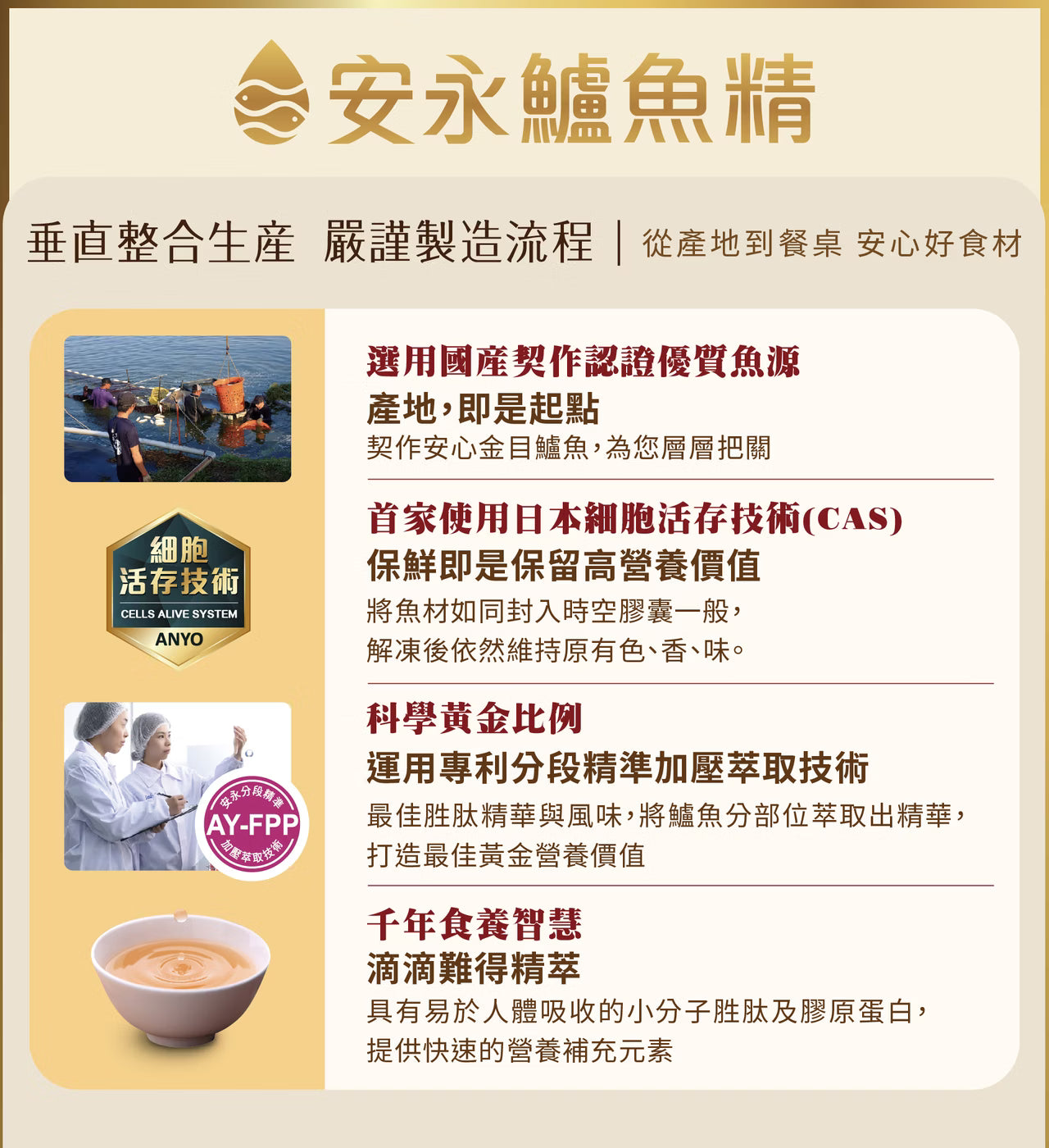 安永鱸魚精-靈芝御品 12入禮盒